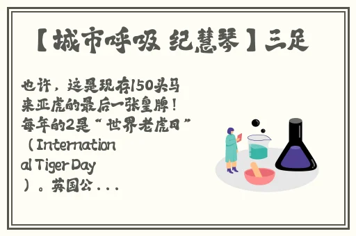 论理快播
